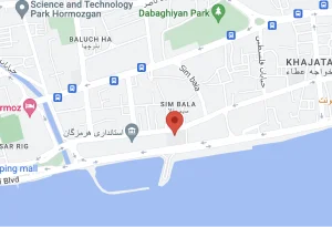 google map